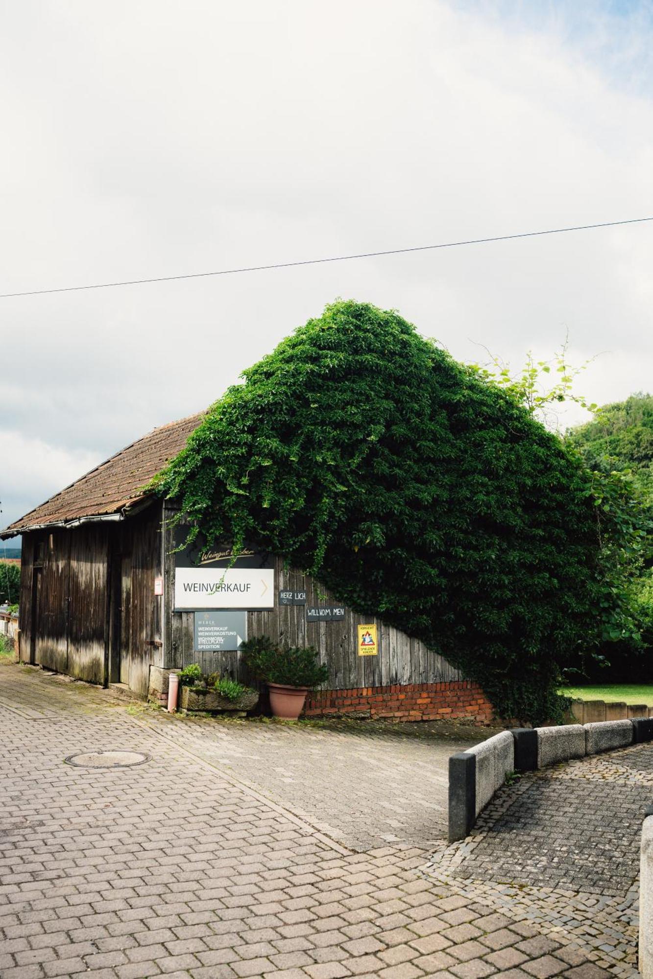 Moderne Ferienwohnung Auf Dem Weingut Monzingen Buitenkant foto
